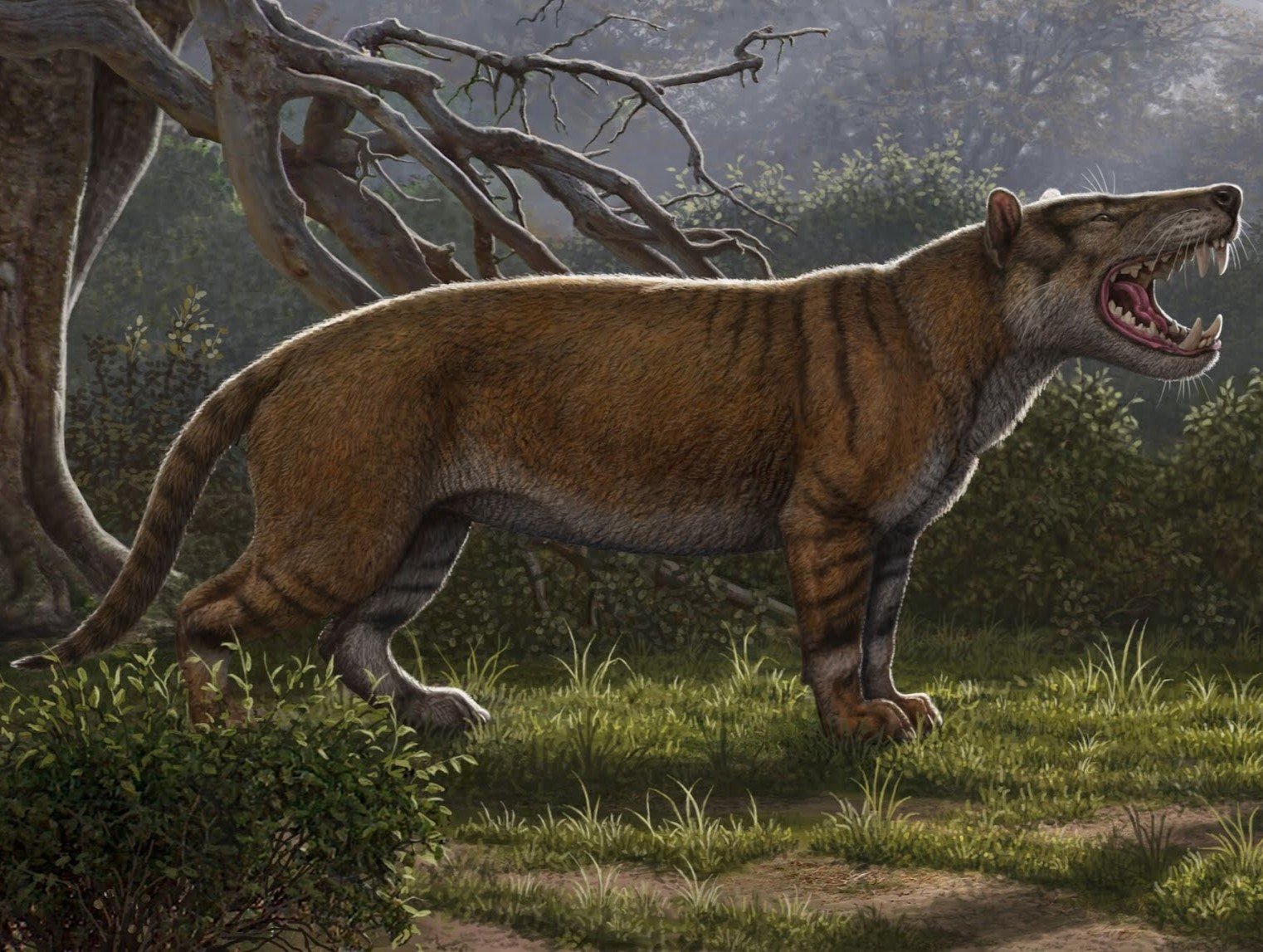 Ces géants ont vécu avant nous...