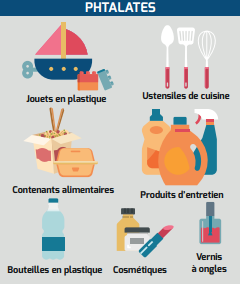 Famille des phtalates (source : institut national du cancer)