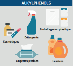 Famille des alkylphénols (source : institut national du cancer)