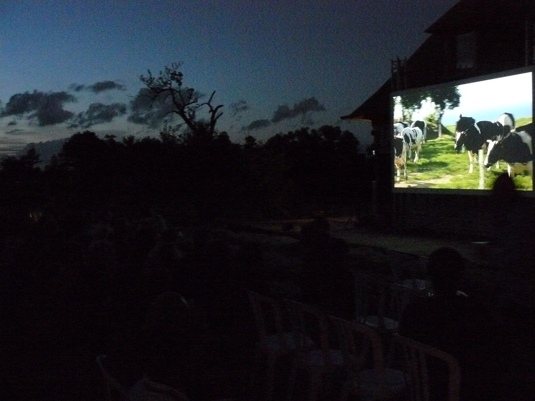 Festival Les Fimeurs - Projection en plein air