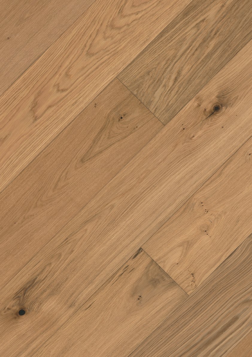 Oak No. 11 - Salisbury