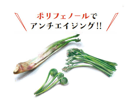 うど・わらび・ぜんまい