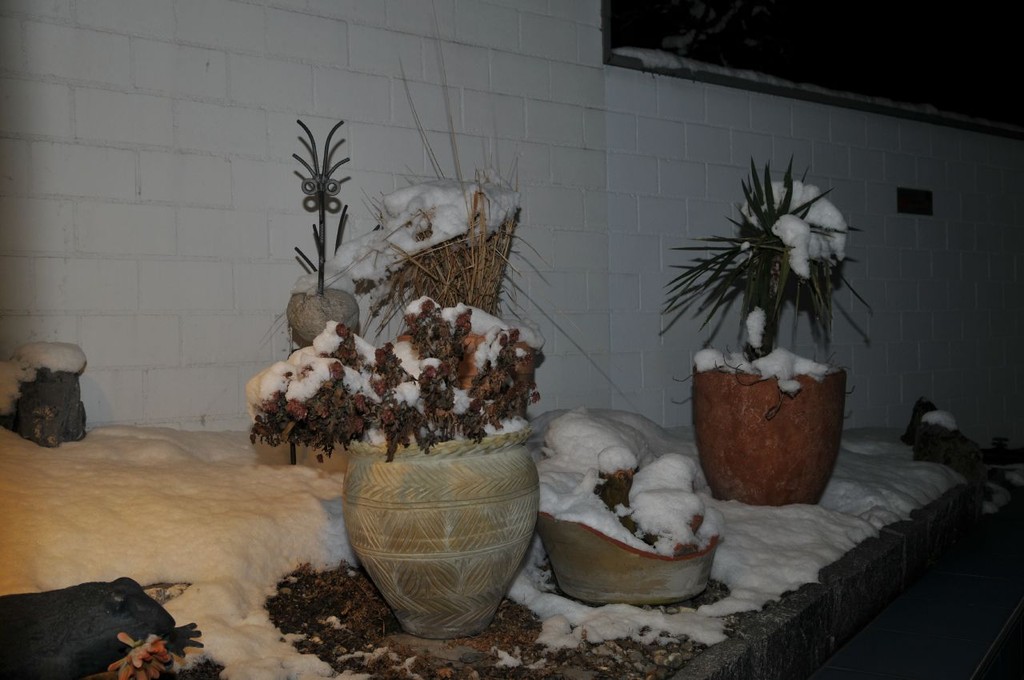 Bei dem Wetter gibt es nur eins "Sauna"