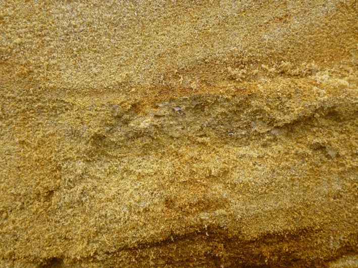 Abbildung 3: Nahaufnahme des in Abb. 2 gekennzeichneten Bereichs: „Kleinsäugerfundschicht“ mit fossilem Kleinvertebraten-Wirbel im zentralen Bildteil.