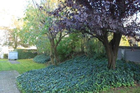 Höhenstrasse West 14-18