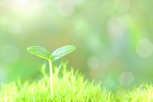 (元気風通信号外)事業再生構築補助金