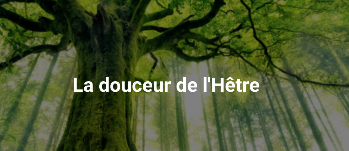 Aide aux personnes qui s'occupent d'un proche fragilisé par des troubles psychiques : tous les rdv de la Douceur de l'Hêtre