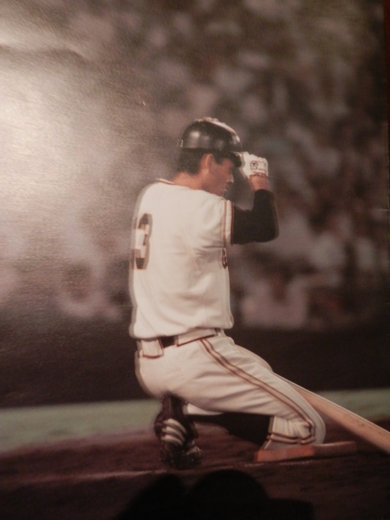 長嶋茂雄を盛りあげる活動