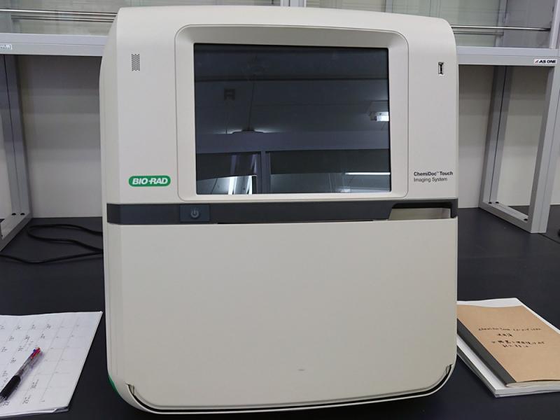 円山研究室へようこそ