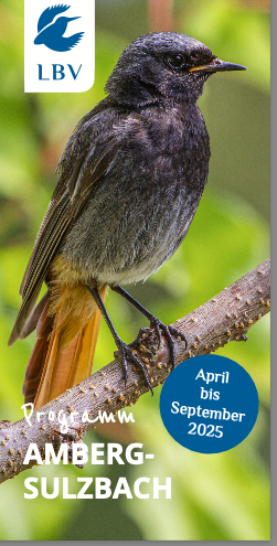 Unser LBV Veranstaltungsprogramm 2025