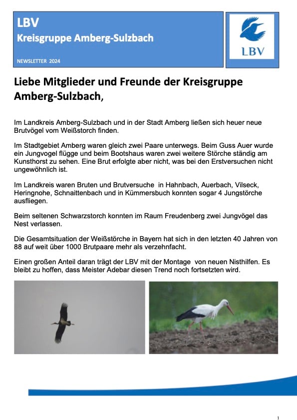 Newsletter August 2024