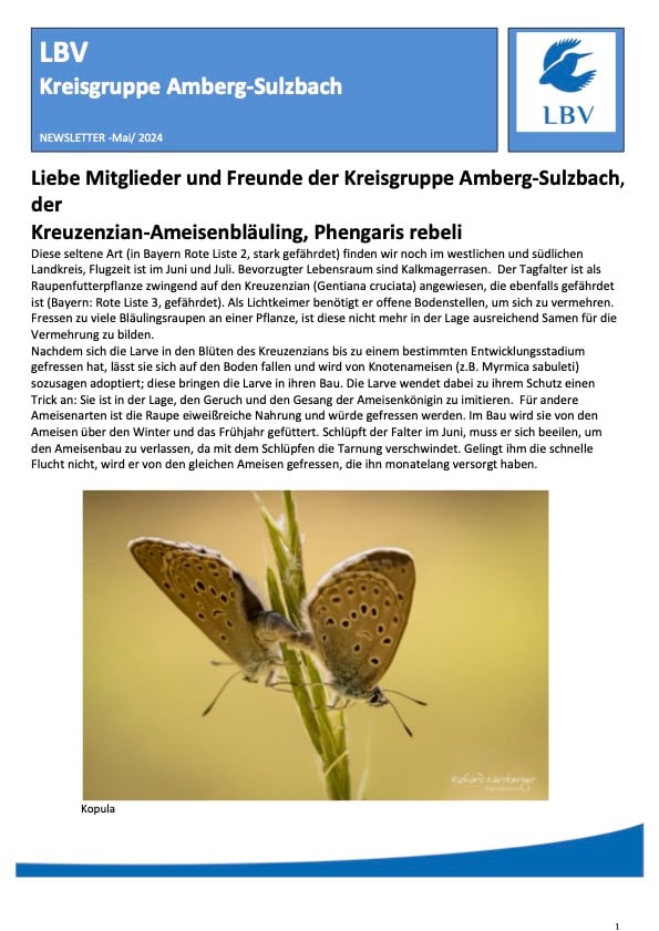 Newsletter für Mai 2024