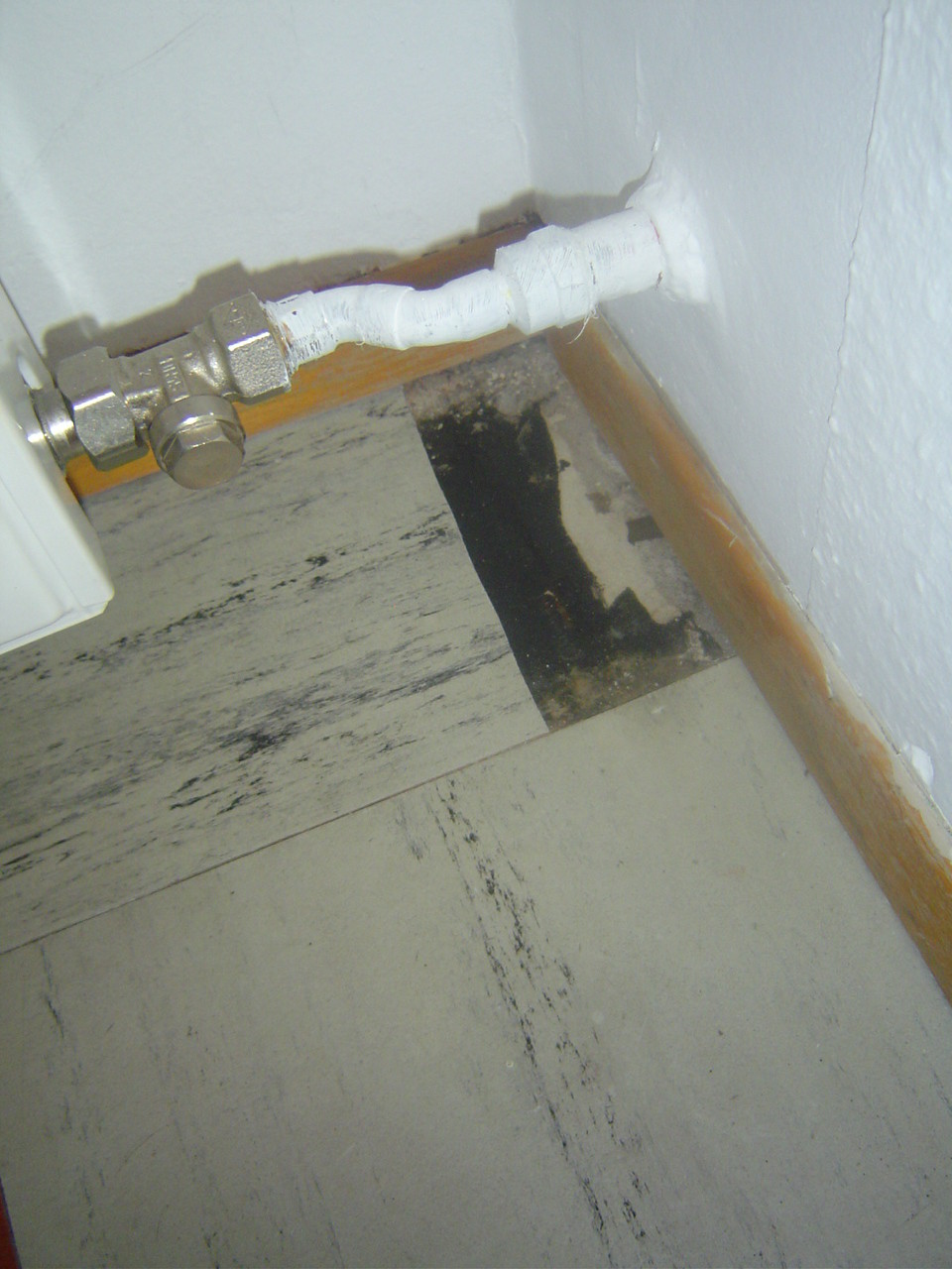 LINDENTHAL Umweltdienstleistungen: Floorflexplatten und Kleber (asbesthaltig)