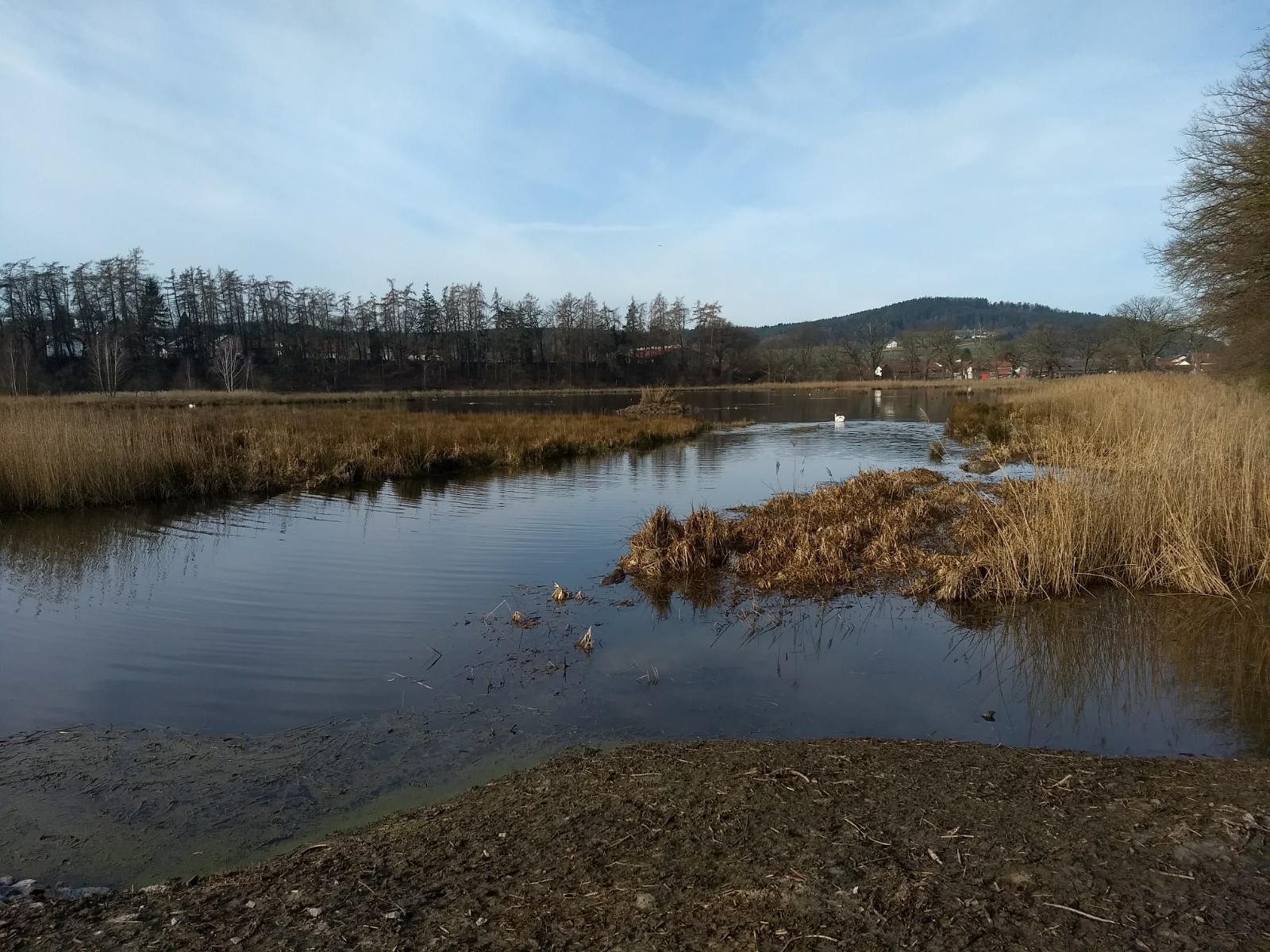 Blick über Angerweiher