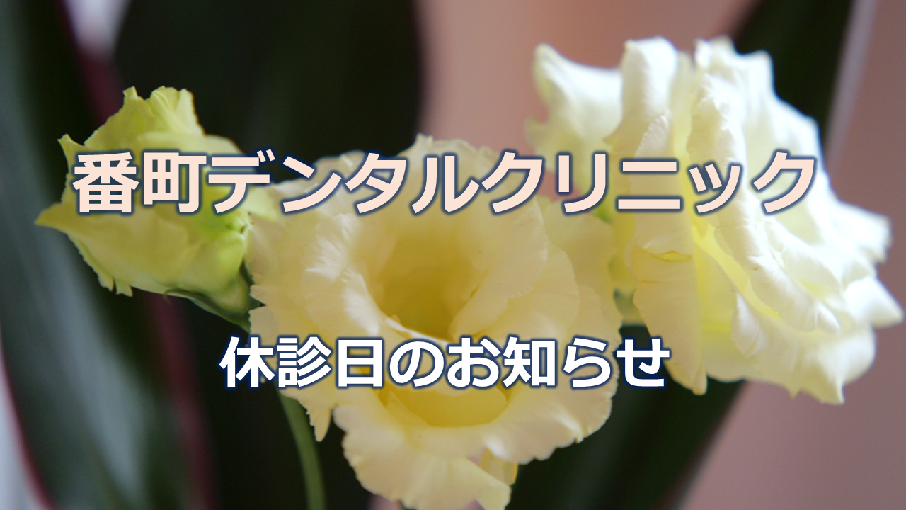 休診日のお知らせ