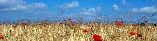 Aujourd'hui, on t'explique pourquoi les ingénieurs agronomes sont des chanceux...