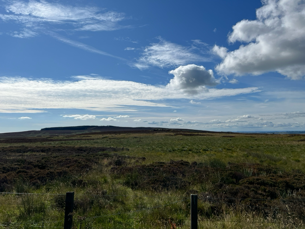 Hat auch was schottisches…