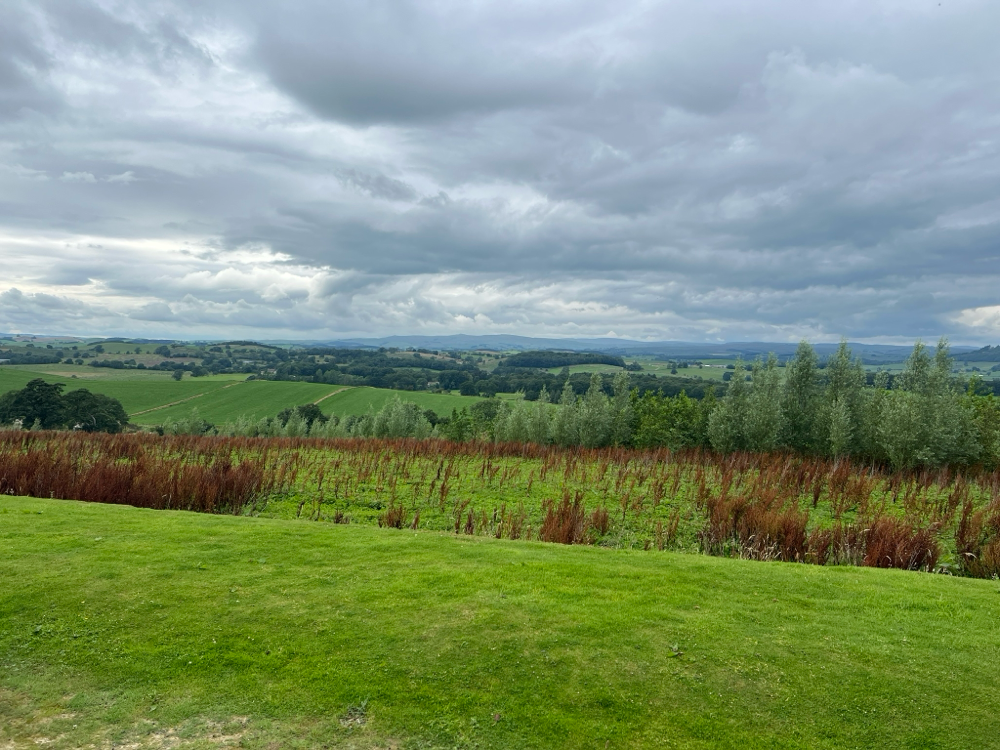 Die Aussicht… traum…