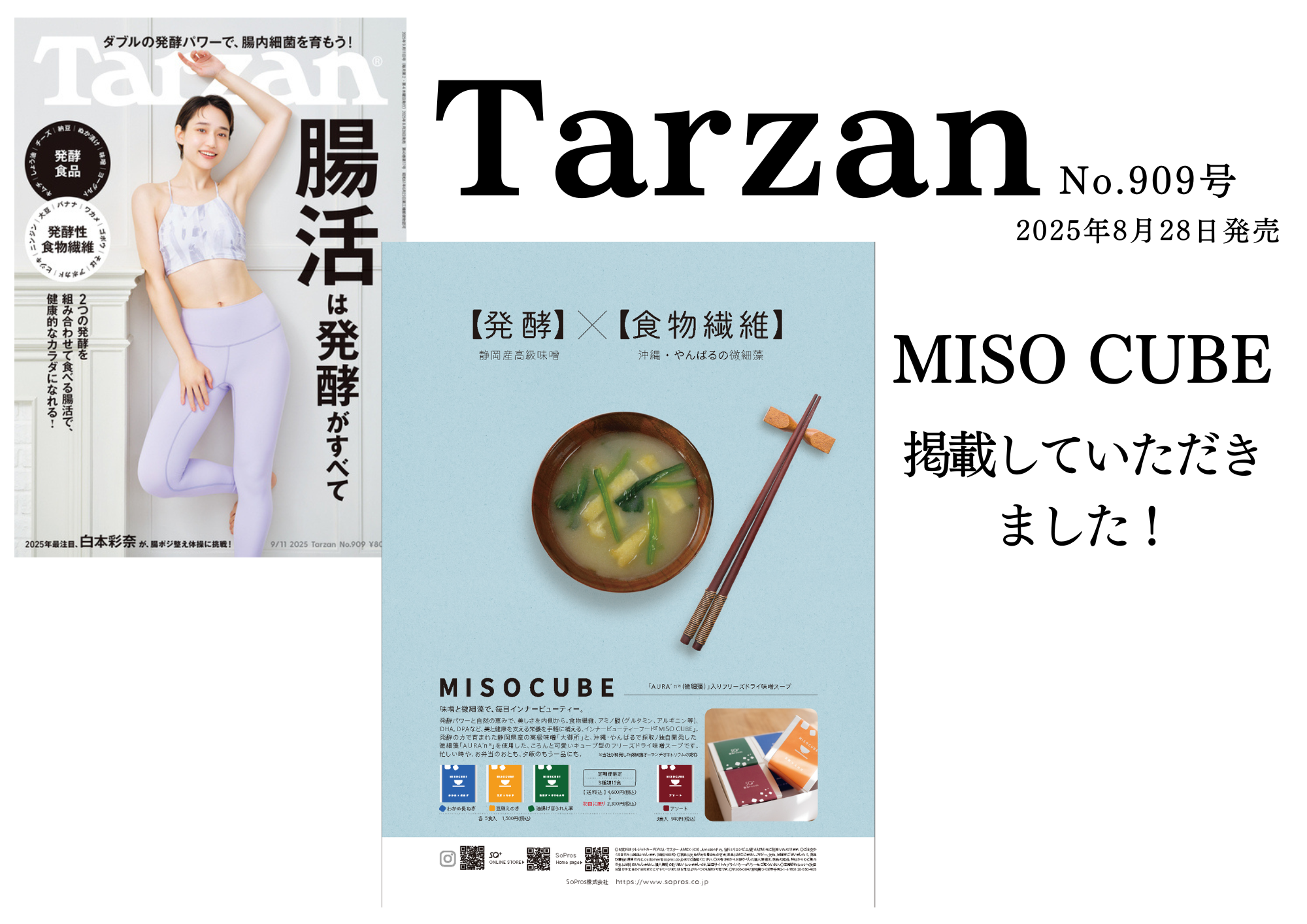 「Tarzan」No.909号に掲載しました