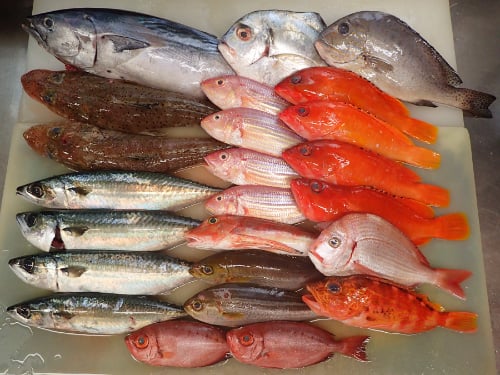 江戸川区大杉　年末年始　出前