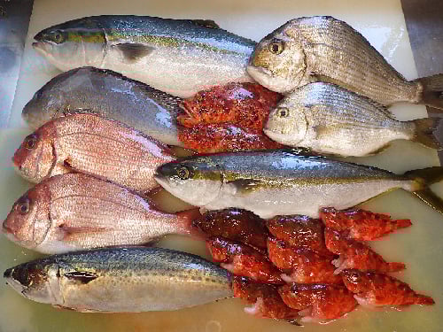 蛎殻町　寿司　出前