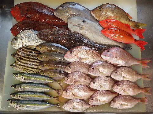 港区　宅配寿司