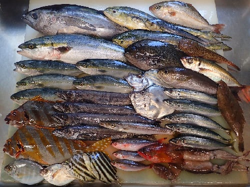 江東区　牡丹　寿司　出前