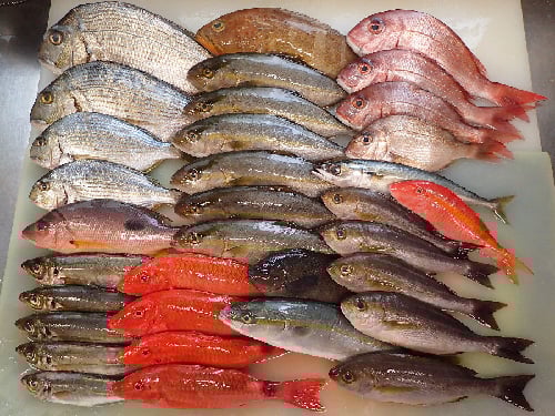 渋谷区大山町　デリバリー　寿司