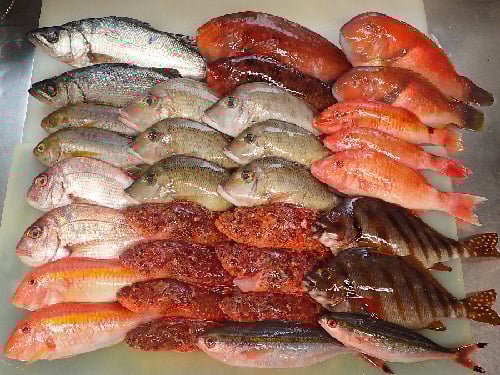 江東区新大橋　出前　デリバリー