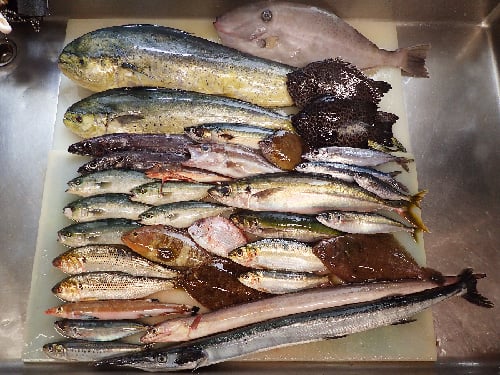 文京区　デリバリー