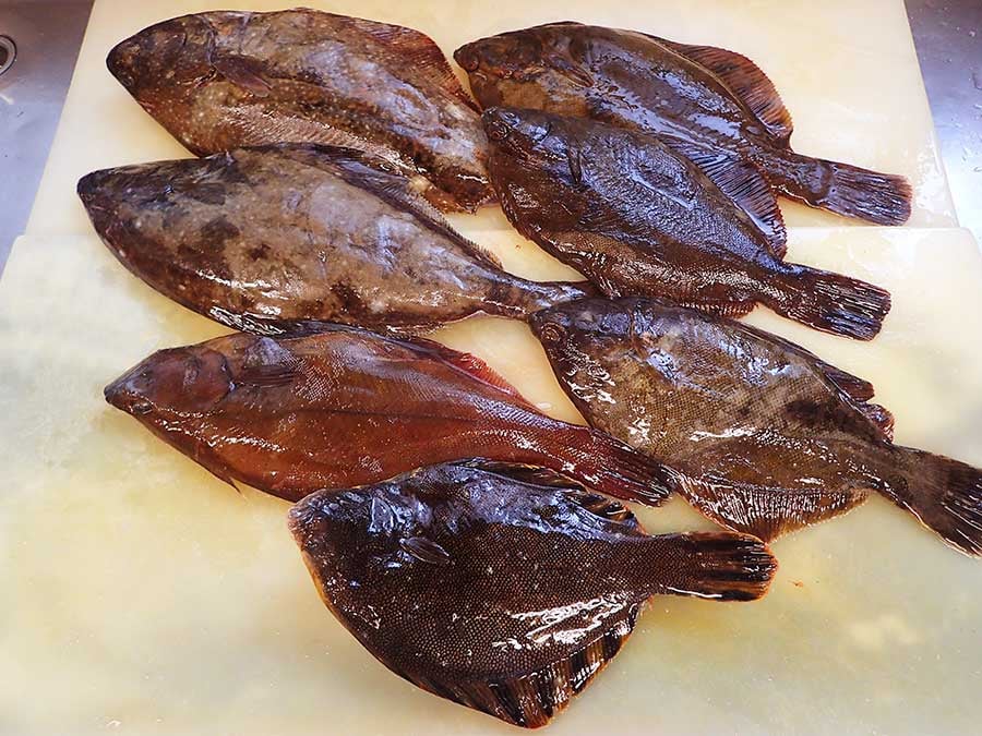 北海道羅臼町からの天然地魚到着！