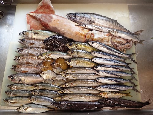 江戸川区　出前　デリバリー