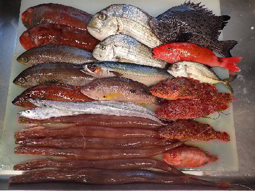 墨田区亀沢　納会　デリバリー