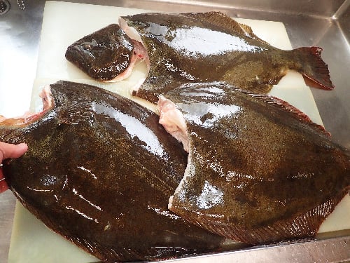 ヒラメ　寿司　出前　デリバリー