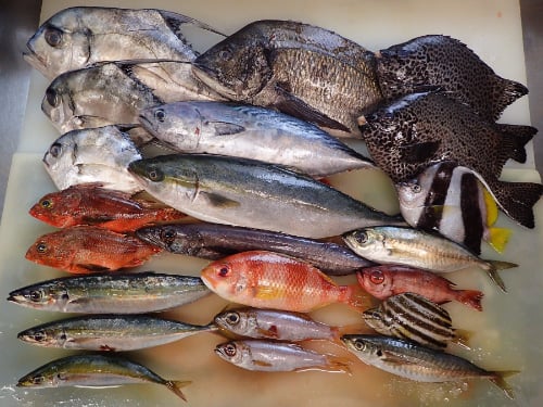 神田北乗物町　年末年始　出前