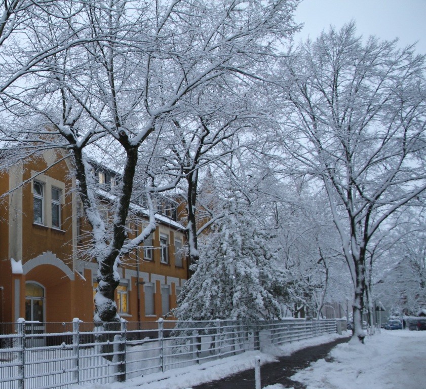 Winteridylle