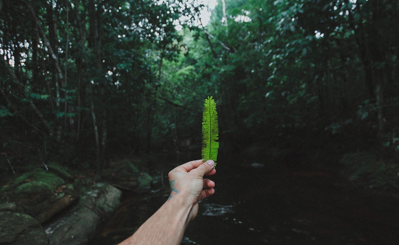 Formation au métier de biographe