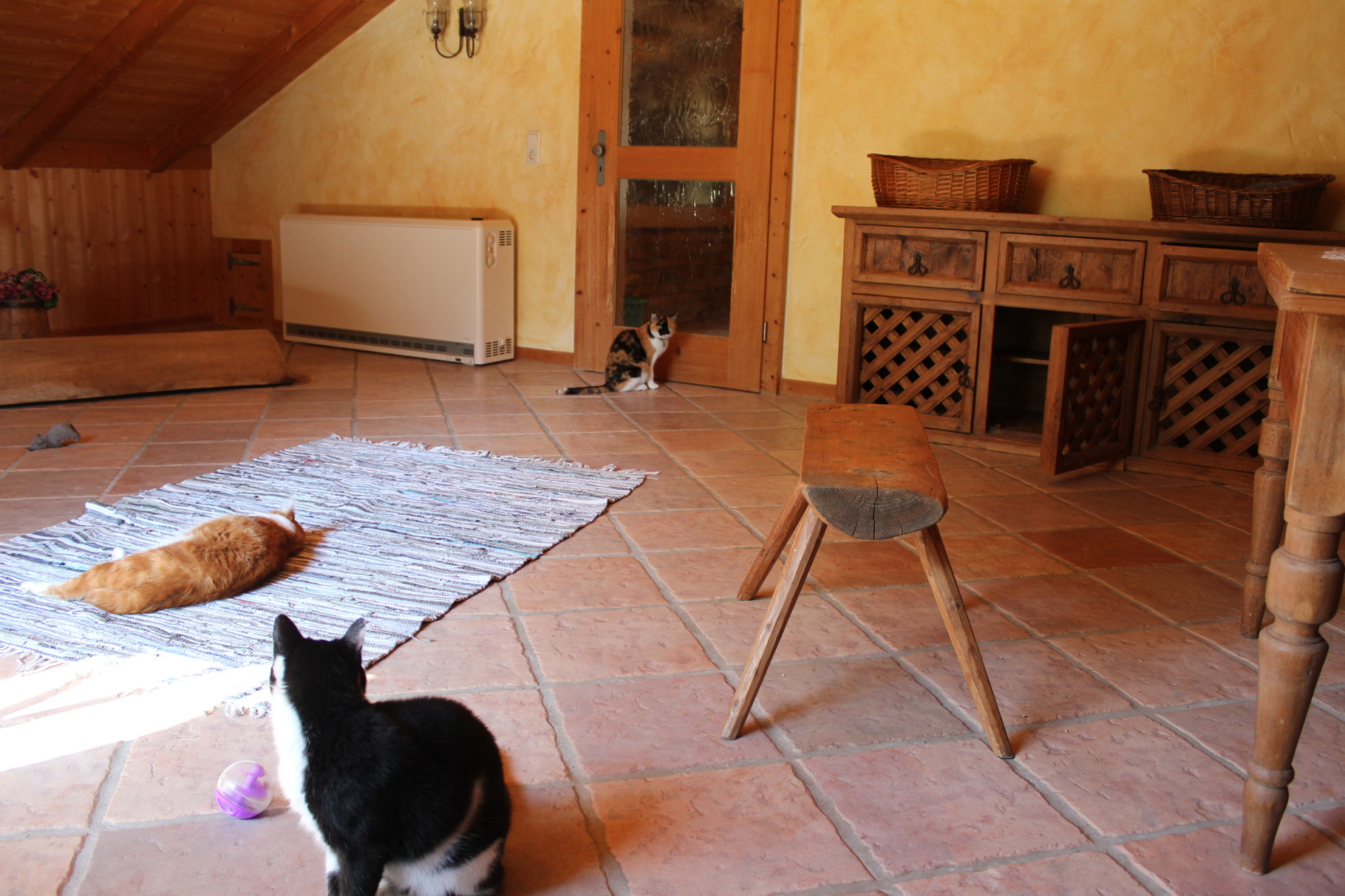 wer ist denn hier noch ?