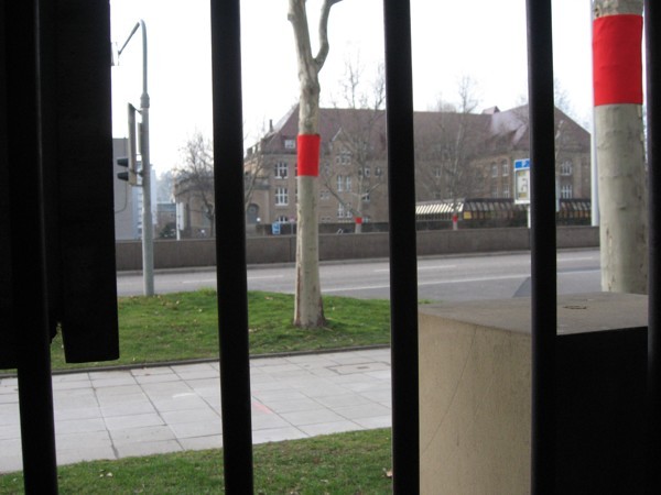„bleeding trees“ in Stuttgart