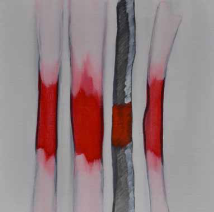 Jahresgaben des Kunstvereins Ulm 2014/2015