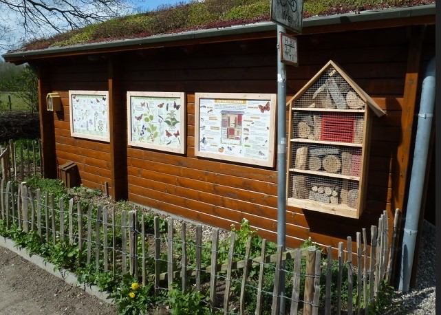 Vor der NABU-Naturinfo wurde ein naturnaher Garten angelegt.