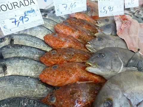 auf dem Fisch Markt in Portugal