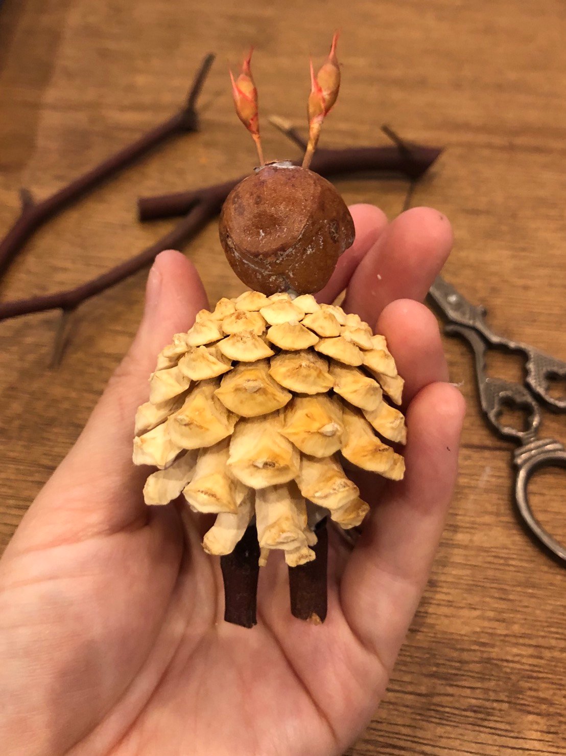 松ぼっくり・・