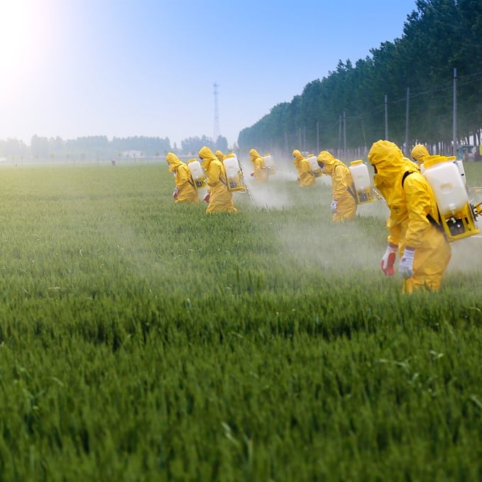 Upgrade Your Health by Reducing Your Toxic Load - Part 1: Food