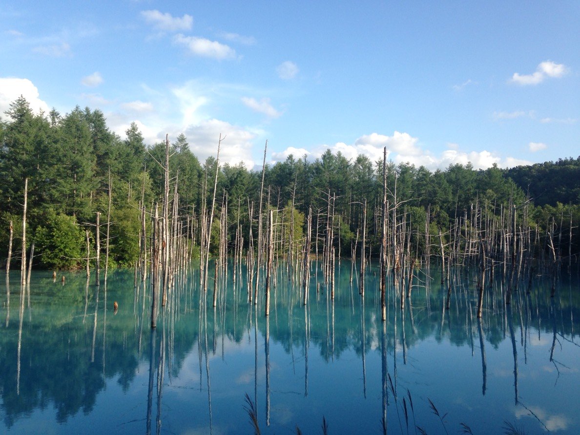 青い池