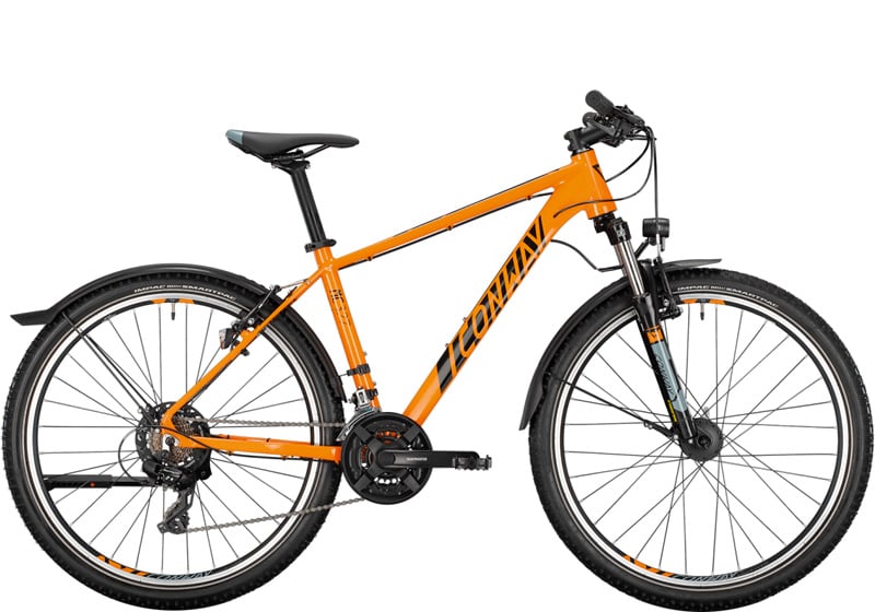 29" Mountainbike 21-Gang