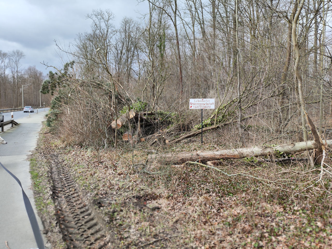 100 Bäume fielen - Tabula rasa an der Bundesallee