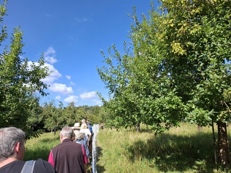 Insektenexkursion auf der Gröpelnkuhle am 17.8.2025