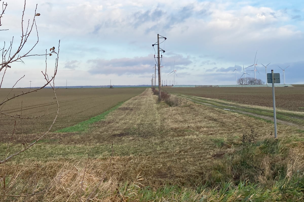 Manchmal müssen dann auch noch die letzten Refugien weichen. Hier wurde ein Blühstreifen nach Auslauf der Förderung einfach entfernt. Foto: Christof Bobzin