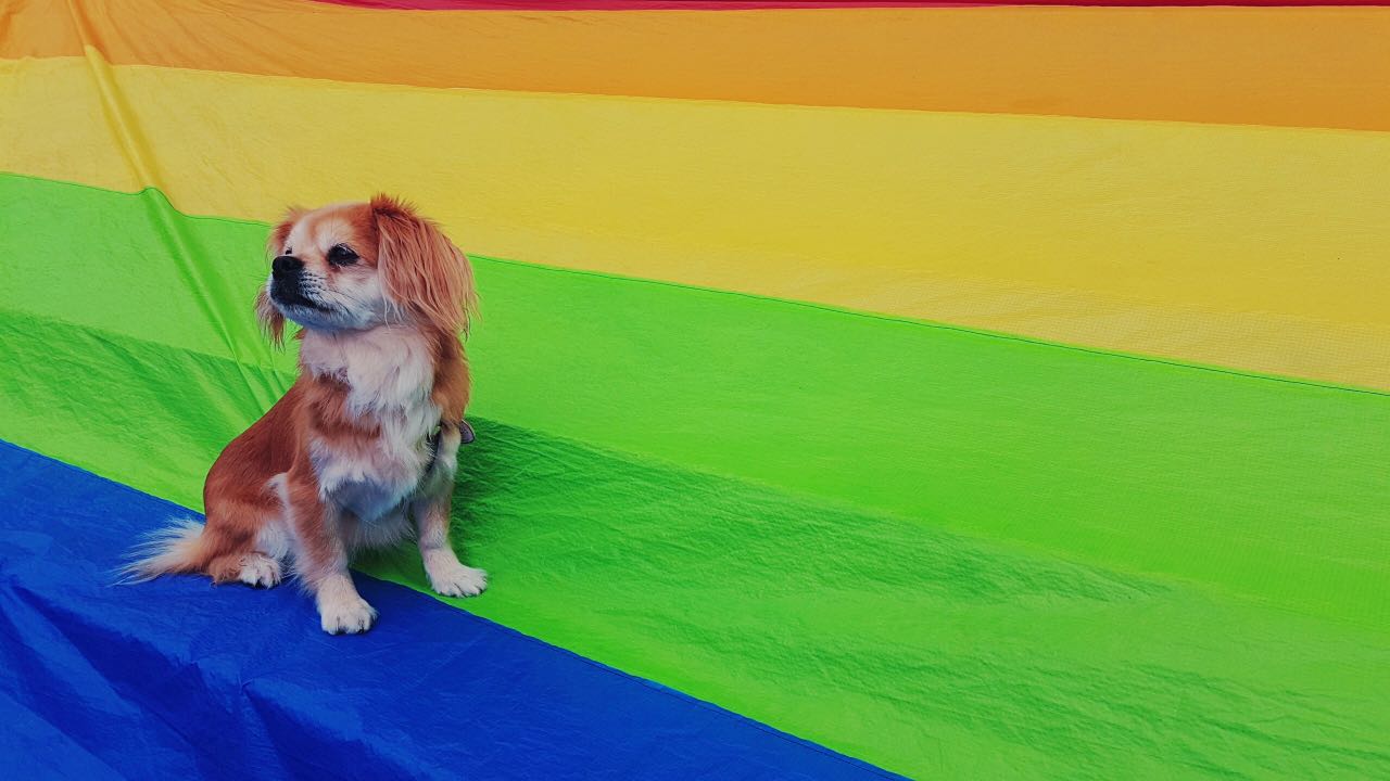 Unser Maskottchen :)